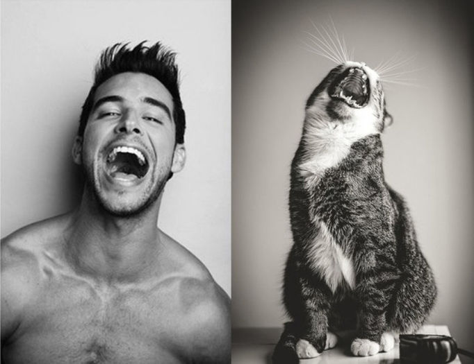 11 - Hot Guys and Cats Striking