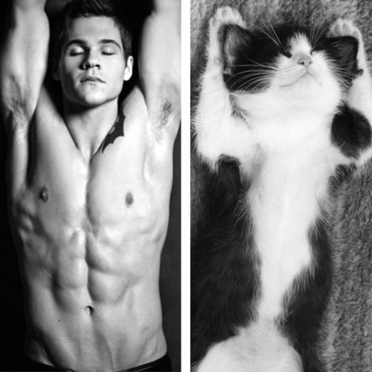 13 - Hot Guys and Cats Striking