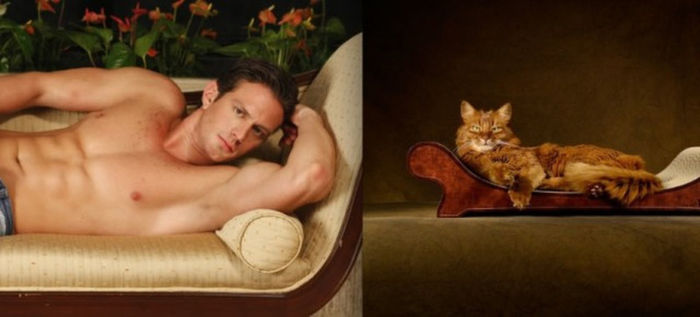 16 - Hot Guys and Cats Striking
