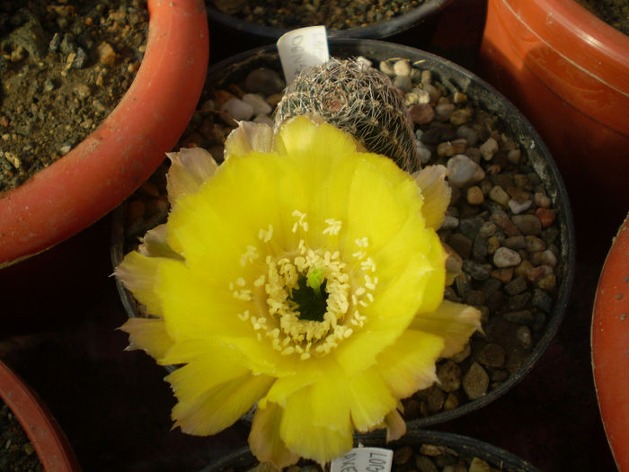 P6140076