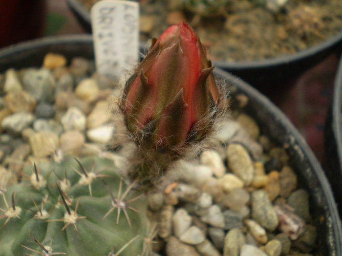 P6040170
