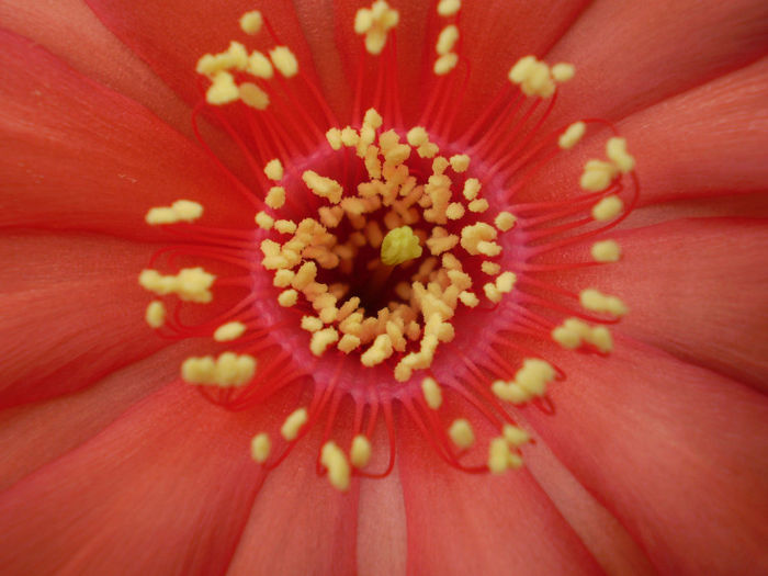 P6050019