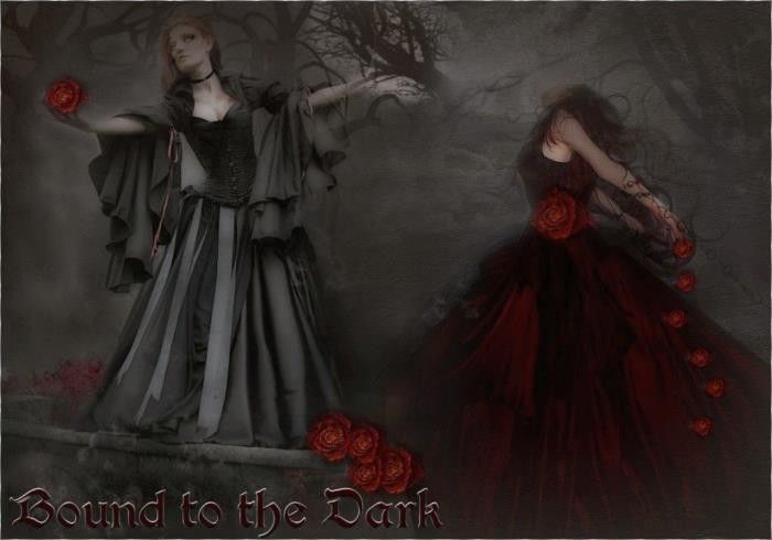 534882_374768199235910_994787417_n