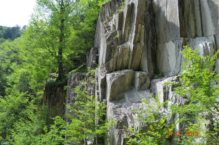 DSC_8866 - Lepsa-Vrancea