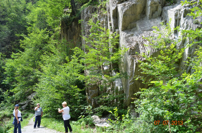 DSC_8867 - Lepsa-Vrancea