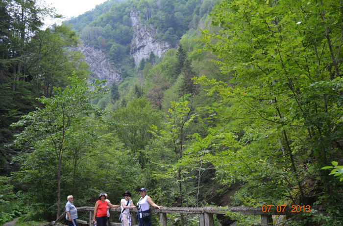 DSC_8885 - Lepsa-Vrancea