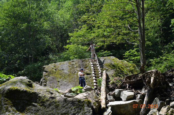 DSC_8903 - Lepsa-Vrancea