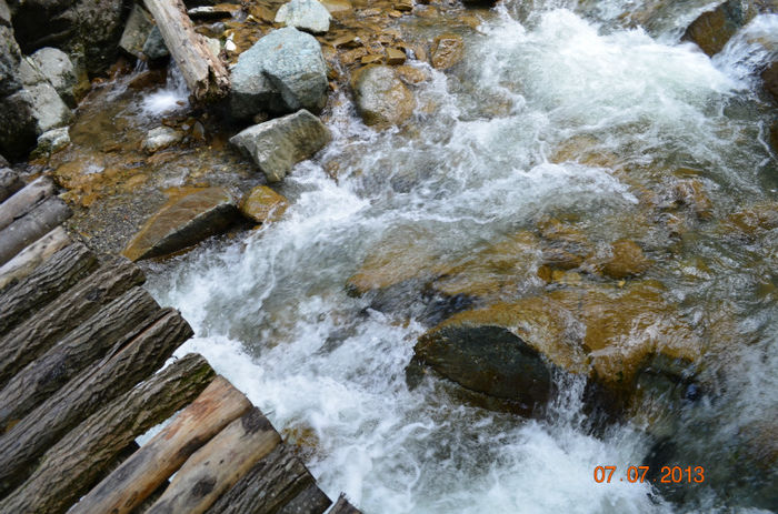 DSC_8928 - Lepsa-Vrancea