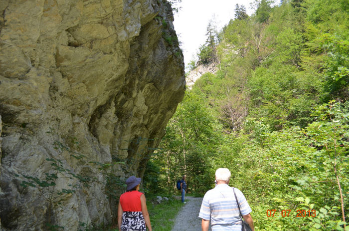 DSC_8956 - Lepsa-Vrancea