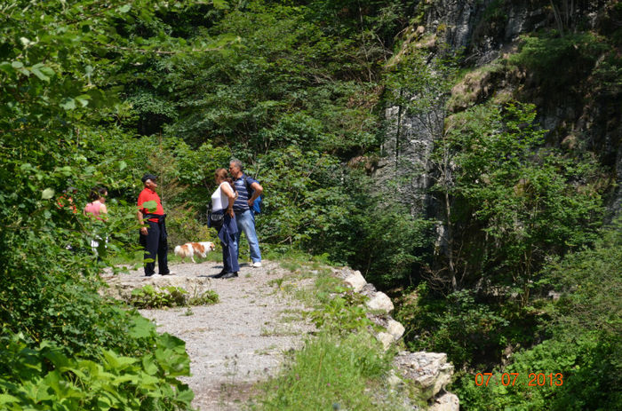 DSC_8963 - Lepsa-Vrancea