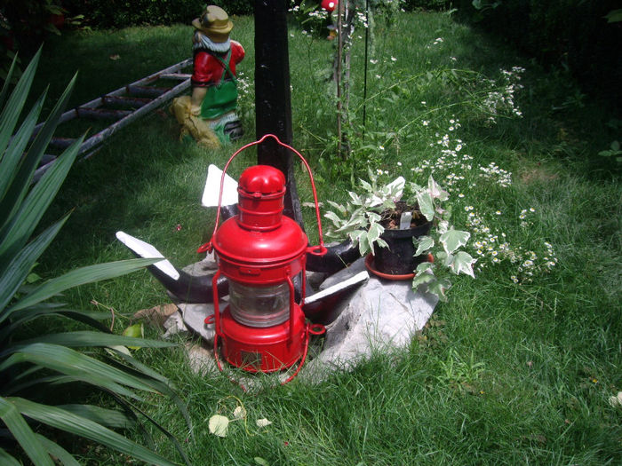 IMGP5157 - trandafiri si peisaje 2013-3