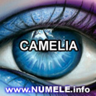 040-CAMELIA avatar si poze cu nume
