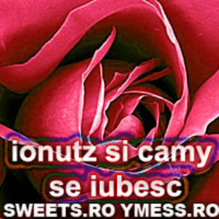 ionutz si camy se iubesc - y__Avatare cu numele Camelia