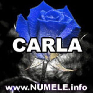 041-CARLA imagini cu nume