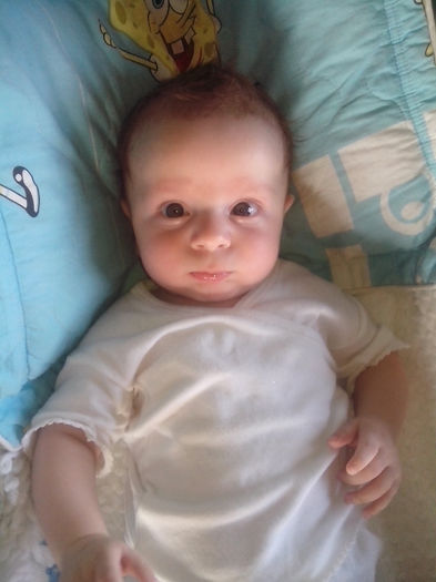 new folder 2 034 - un bebe mic -2013