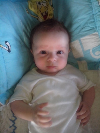 new folder 2 035 - un bebe mic -2013