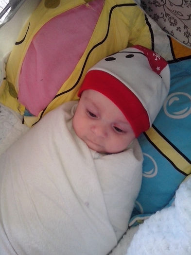 new folder 2 067 - un bebe mic -2013