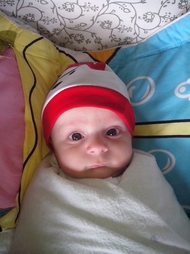 new folder 2 068 - un bebe mic -2013
