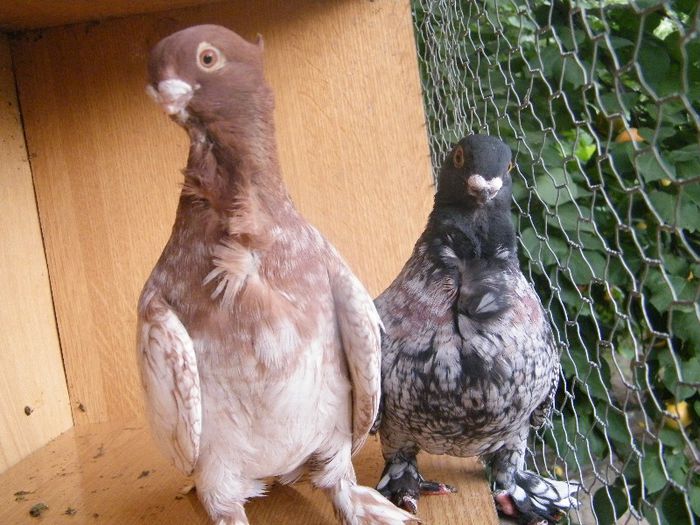 2013_0711blondinette0068