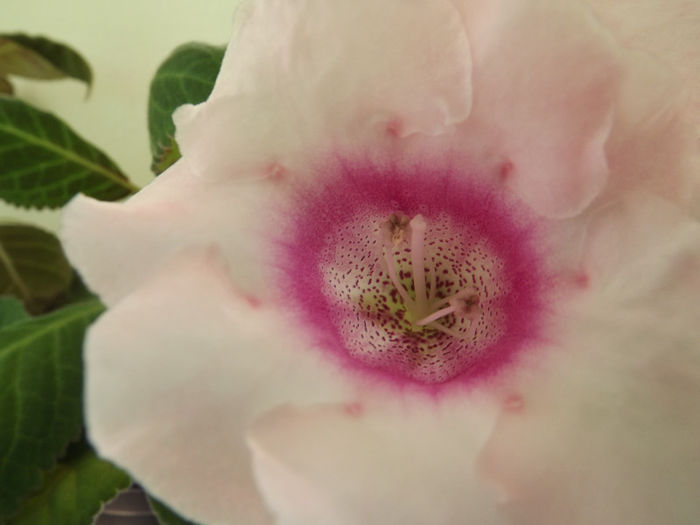 DSCF0228