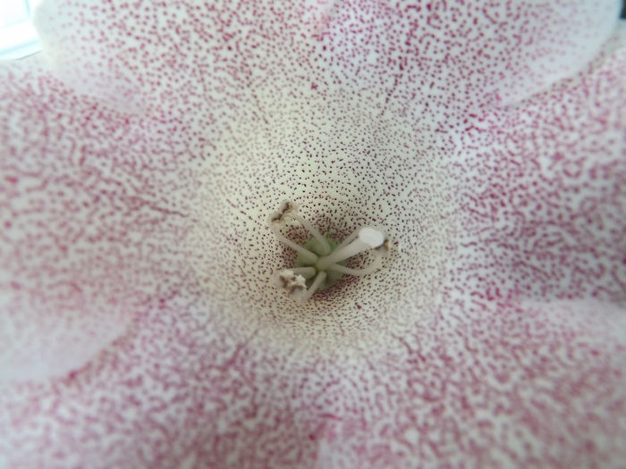 DSCF0104