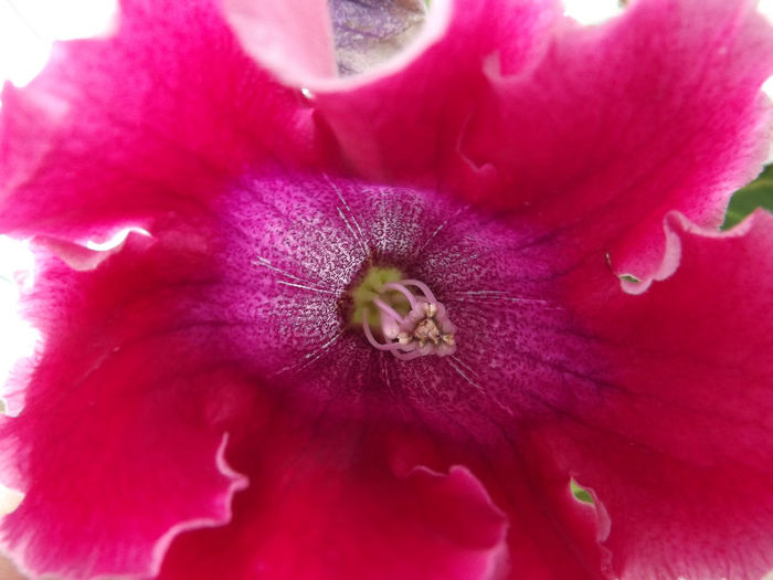 DSCF0198