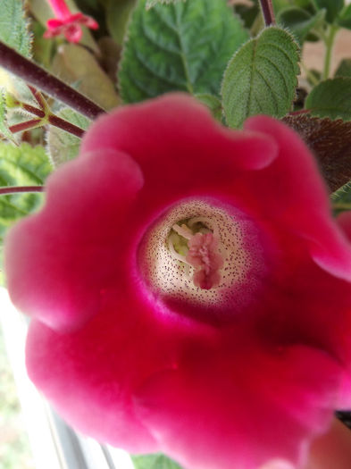 DSCF0488