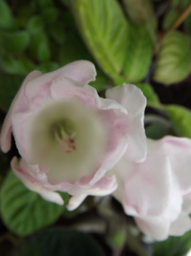 DSCF0448