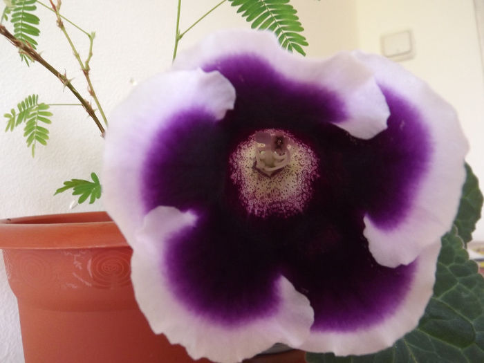 DSCF0483