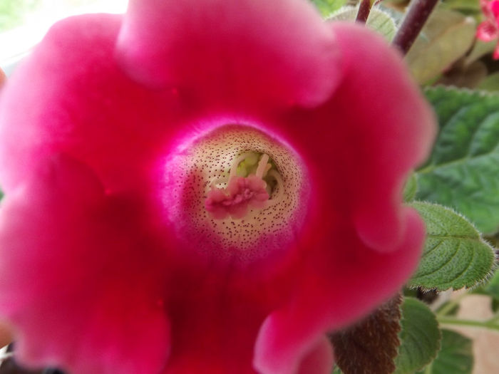 DSCF0486