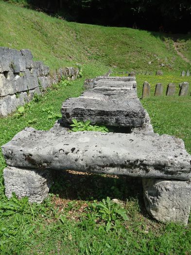 DSC01943 - Sarmisegetusa Regia