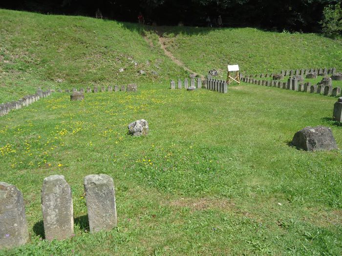 DSC01945 - Sarmisegetusa Regia