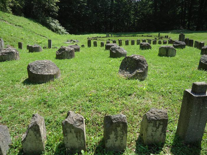 DSC01947 - Sarmisegetusa Regia