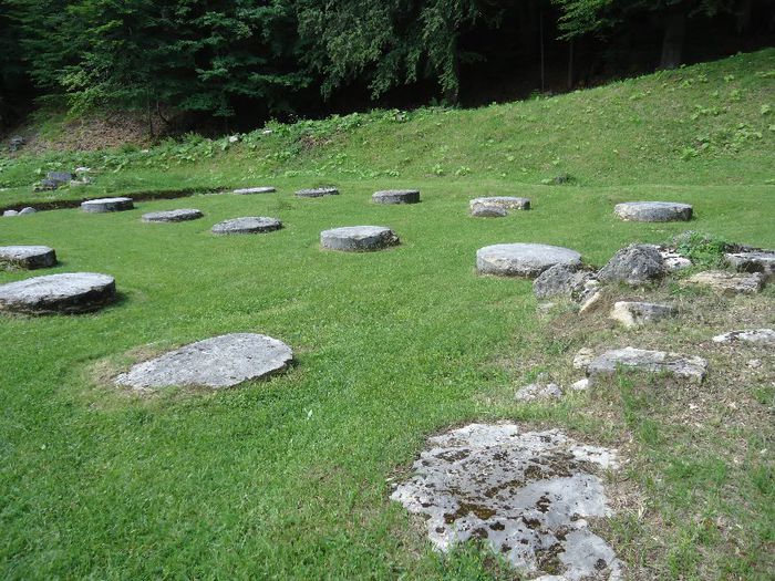 DSC01953 - Sarmisegetusa Regia