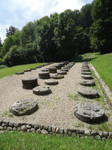 DSC01955 - Sarmisegetusa Regia