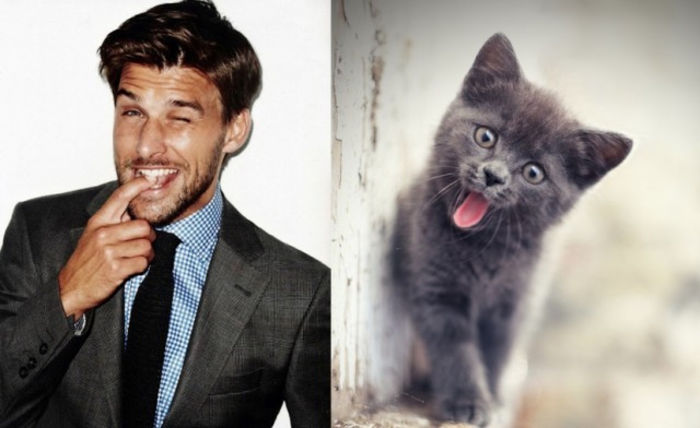 20 - Hot Guys and Cats Striking