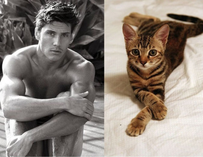22 - Hot Guys and Cats Striking