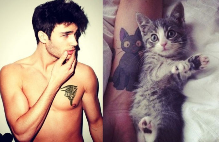 23 - Hot Guys and Cats Striking