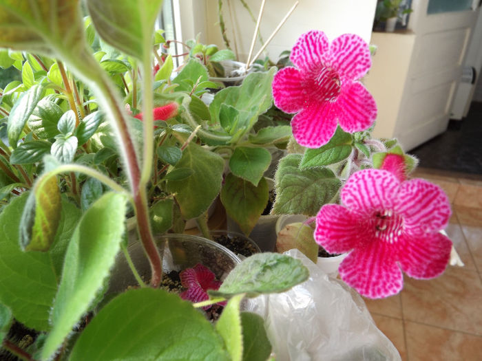 DSCF0130