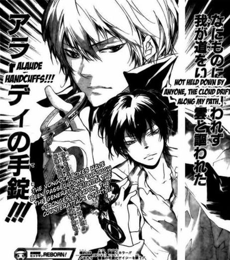 alaude and hibari - Katekyo Hitman Reborn manga