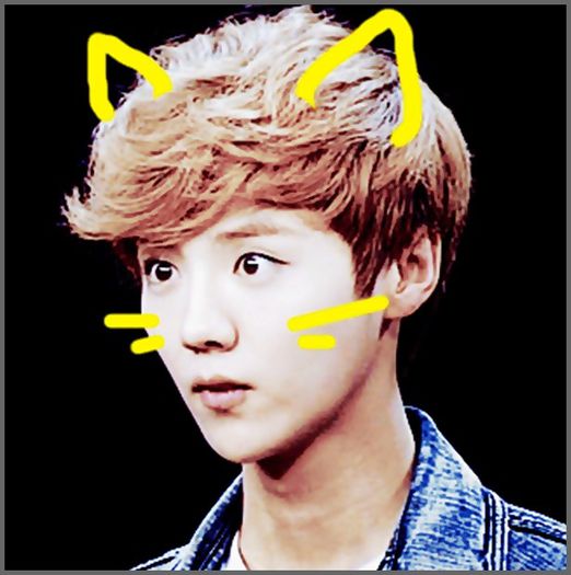 (LH) ..Aaa?! Aaa, binee :3 :)) .. Byee.. :-h.