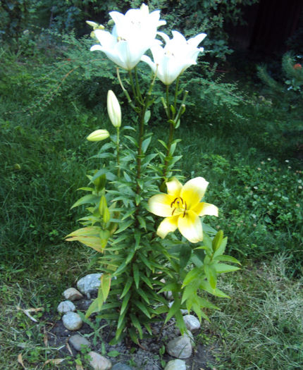 DSC07713
