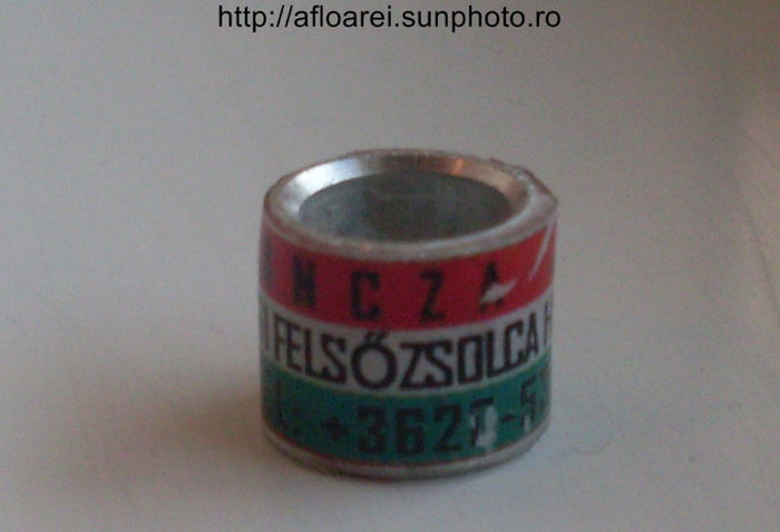 crescator-hung - inele colectie-Pigeon Rings Collection