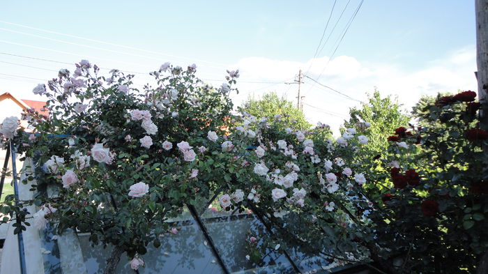 DSC07247