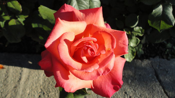 DSC07400