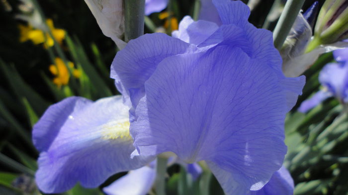 DSC07027