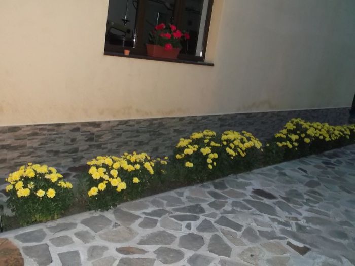 Picture 412 - FERMA ANDRE  SI  NIK PUIUT