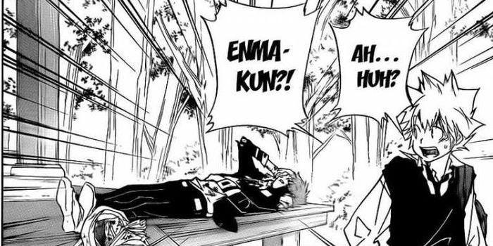 enma and tsuna 2 - Katekyo Hitman Reborn manga