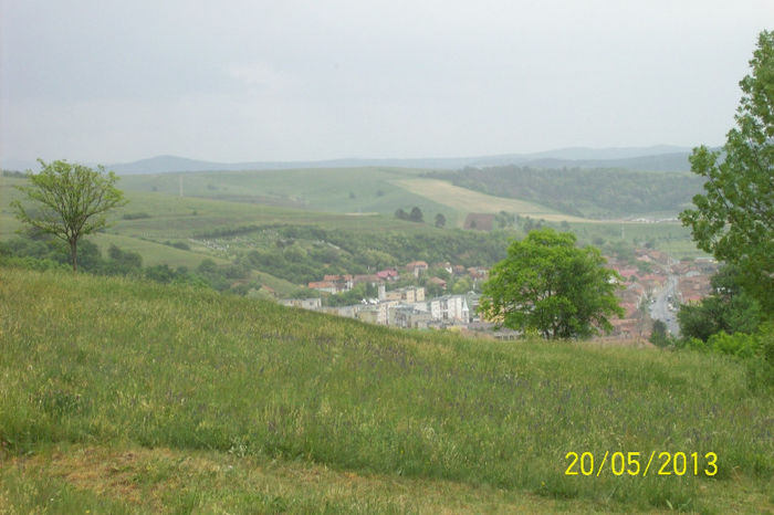 100_7561 - CETATEA TARANEASCA DIN RUPEA JUD BRASOV