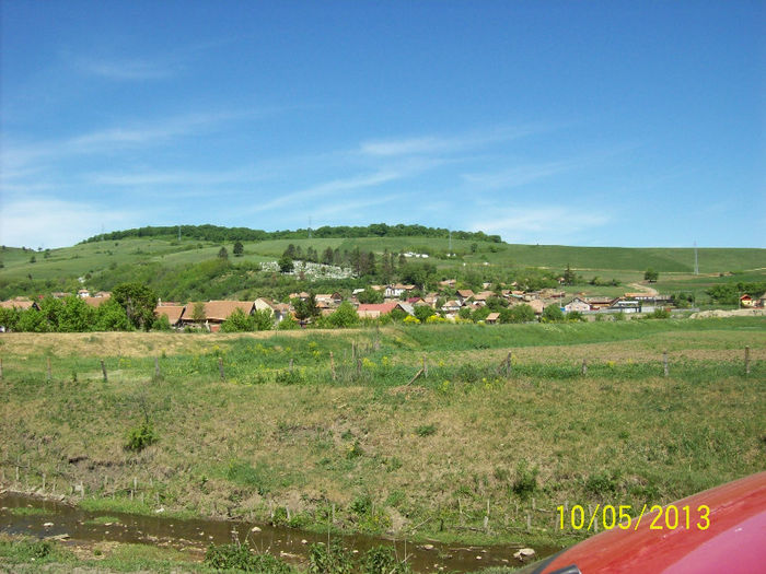 100_7412 - CETATEA TARANEASCA DIN RUPEA JUD BRASOV